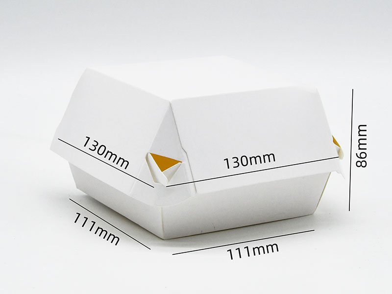 HB#111 Social Media Potential Cardboard Burger Box