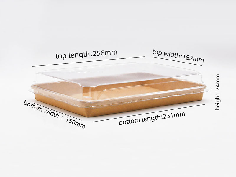 JBTP-11# Eco-Friendly Roll Edged Paper Tray